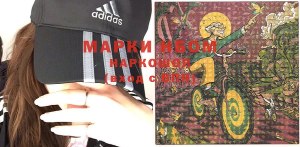 мдпв Рославль