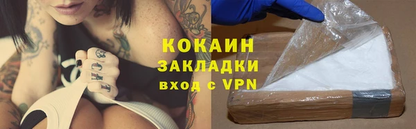 гидра Дмитров