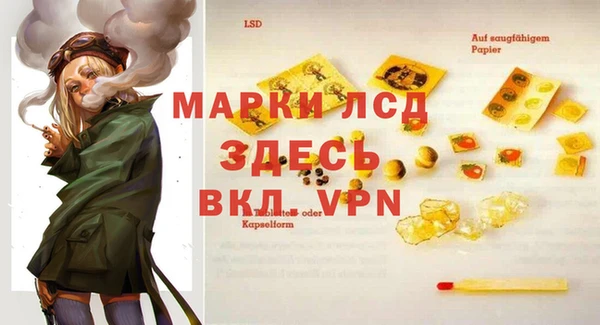 стафф Дмитриев